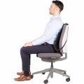 Fellowes Ergonomiczna siatkowa Podpórka pod plecy 9191301 www.niszczarka.net