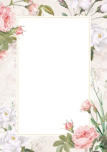 Dyplom BELLA - opk 25 szt A4 - 170g/m2 