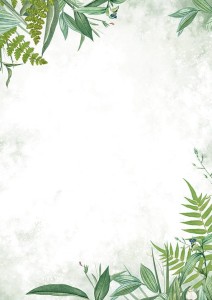 Arkusze barwne FLORA - 50 arkuszy A4 100g/m2 