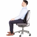 Fellowes Ergonomiczna siatkowa Podpórka pod plecy profesjonalna 8029901 # 5 lat gwarancji www.niszczarka.net