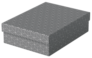 Pudło do przechowywania / pudło prezentowe Esselte Box Home M low szary, opakowanie 3 sztuki 