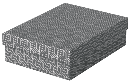 Pudło do przechowywania / pudło prexentowe Esselte Box Home M low szary, opakowanie 3 sztuki www.niszczarka.net