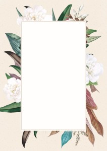 Dyplom CAMELLIA - opk 25 szt A4 - 170g/m2  