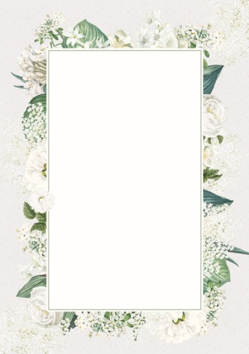 Dyplom BIANCO - opk 25 szt A4 - 170g/m2 www.niszczarka.net