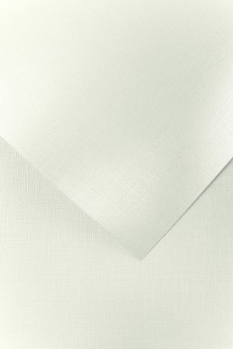 Karton Ozdobny 230g/m2 HOLLAND BIAŁY - 20 arkuszy A4 www.niszczarka.net