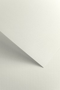 Karton Ozdobny 220g/m2 FLORYDA BIAŁY - 20 arkuszy A4