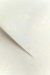 Karton Ozdobny Premium 230g/m2 WIATR BIAŁY 20 arkuszy A4 