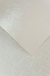Karton Ozdobny Premium 230g/m2 - FROST kolor PERŁOWA BIEL - 20 arkuszy A4