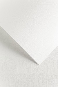 Karton Ozdobny 220g/m2 BORNEO BIAŁY - 20 arkuszy A4