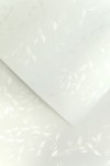 Papier ozdobny LIANA BIAŁY 100g/m2 - opk 50ark/A4