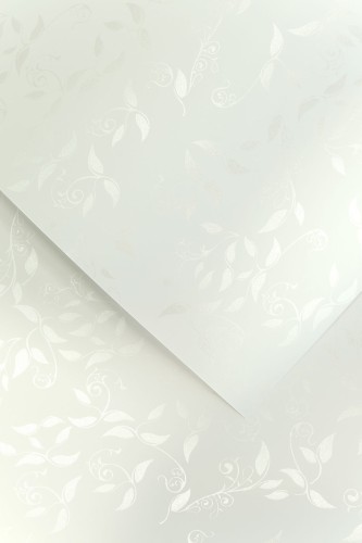 Papier ozdobny LIANA BIAŁY 100g/m2 - opk 50ark/A4 WWW.NISZCZARKA.NET