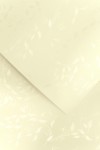 Papier ozdobny Liana krem 100g/m2 - opk 50ark/A4