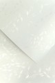 Karton Ozdobny Premium 230g/m2 LIANA BIAŁY 20 arkuszy A4 www.niszczarka.net
