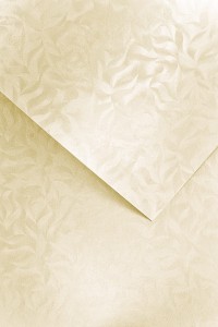 Karton Ozdobny Premium 220g/m2  OLYMPIA KREMOWY 20 arkuszy A4 