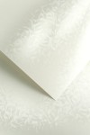 Karton Ozdobny Premium 220g/m2  OLYMPIA PERŁOWA BIEL 20 arkuszy A4 