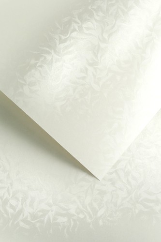 Karton Ozdobny Premium 220g/m2 OLYMPIA PERŁOWA BIEL 20 arkuszy A4 www.niszczarka.net