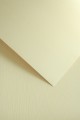 Papier Ozdobny 120g/m2 - NATTE KREMOWY - 50 arkuszy A4 WWW.NISZCZARKA.NET