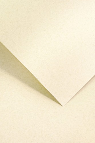 Papier ozdobny Nature Jasnobeżowy 120g/m2 - opk 50ark/A4 www.niszczarka.net