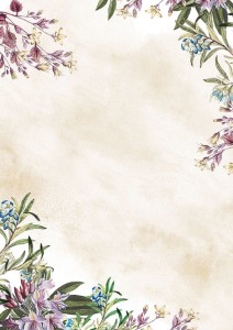 Arkusze barwne  Umbria 50 arkuszy A4 100g/m2  