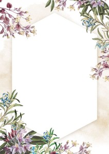 Dyplom UMBRIA - opk 25 szt A4 - 170g/m2 