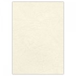 Okładka skóropodobna DELTA A4 KOŚĆ SŁONIOWA - Fellowes