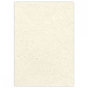 Okładka skóropodobna DELTA A4 KOŚĆ SŁONIOWA - Fellowes