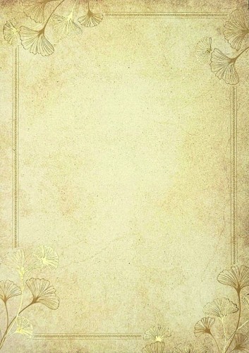 Dyplom GINKO - opk 20 szt A4 - 190g/m2 www.niszczarka.net