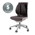 Fellowes profesjonalna podpórka pod plecy Premium Back Angel  www.niszczarka.net