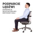 Podpórka pod plecy Fellowes PlushTouch  www.niszczarka.net
