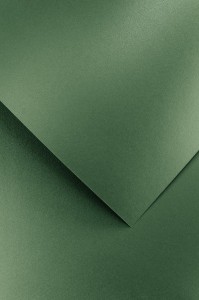 Karton Ozdobny Premium 200g/m2 BRILLO ZIELONY 20 arkuszy A4