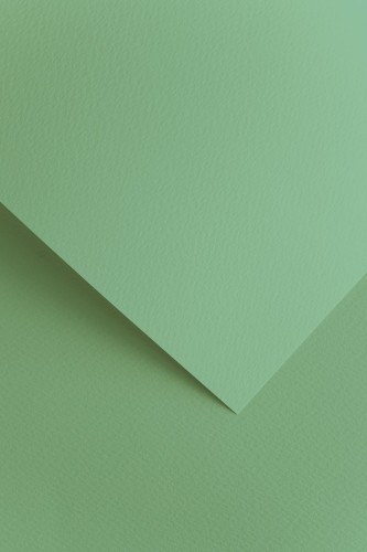 204816_www.niszczarka.net.jpg