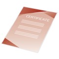 41666E_www.niszczarka.net.jpg