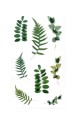 254076_www.niszczarka.net.jpg
