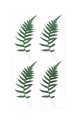 254076_www.niszczarka.net.jpg
