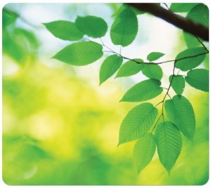 Podkładka pod mysz Fellowes - Liście - seria  Earth 100% ekologiczna